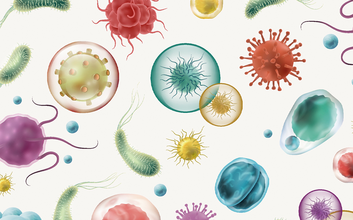 Lo importante está en tu microbiota - Una guía para aprender a cuidar el universo que hay en tu interior
