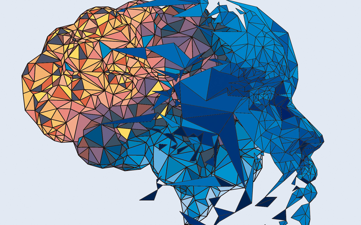 Tu cerebro al descubierto - Lo que la neurociencia nos revela sobre el cerebro y sus rarezas